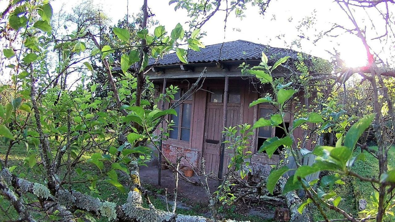 Surmava Palace 마트빌 외부 사진